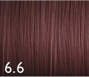 Color Genus 6.6 100ml