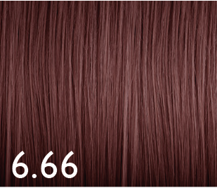 Color Genus 6.66 100ml