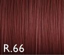 Color Genus r.66 100ml
