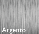 Color Genus Argento 100ml