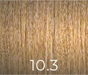 PPD & Ammonia Free Color 10.3 100ml