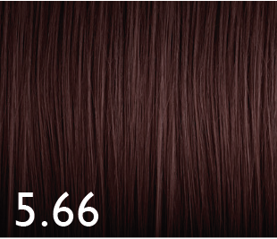 [GENUS067] Color Genus 5.66 100ml